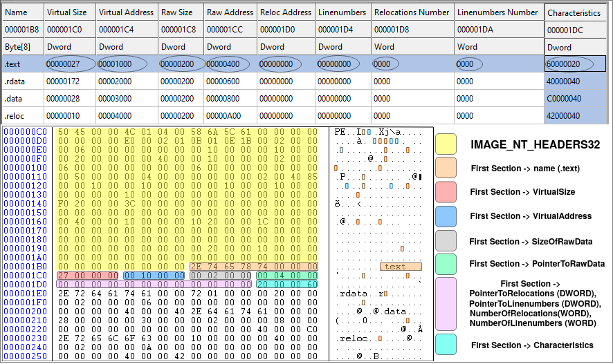 Section table of the sample binary file